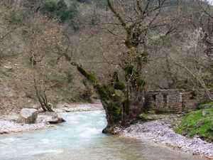 fidakia_13mar10_drymonasbridge_houseruins