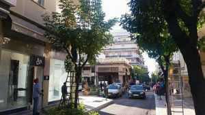 14958225_1521256027901011_42836731_o