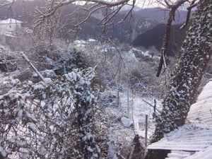 15871450_1350128775049315_5428064893554705929_n