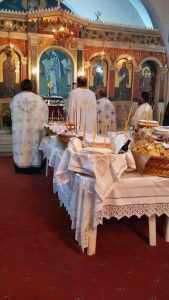 16142827_1696719203973395_6107128950892537_n