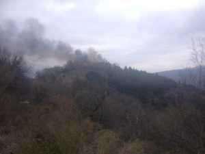 16299247_1833060893621771_8098401767220847969_n