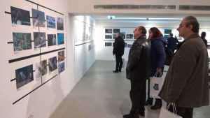 16388401_1333792486667675_3867553315116990550_n