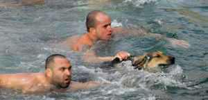 skilos-theofania1-702x336