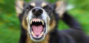 %ce%b1%cf%81%cf%87%ce%b5%ce%af%ce%bf-%ce%bb%ce%ae%cf%88%ce%b7%cf%82