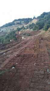 16508742_1258680364169634_2946852760366145071_n