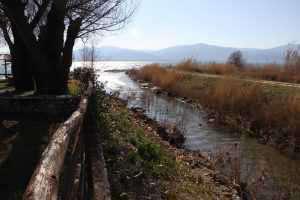 16601636_1208491775872764_635796043144272931_o