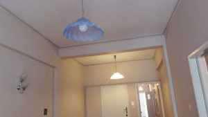 16649519_103262796862003_4622201158189165678_n