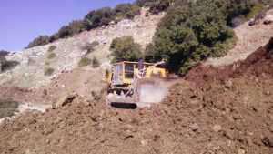 16707306_1258680504169620_1839843749651759980_o