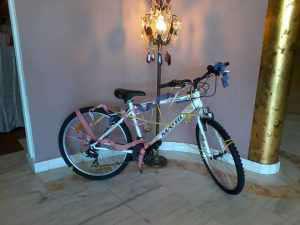 16708224_596098207246079_5316490772419321010_n