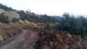 16708303_1258680300836307_2308480321415039810_n