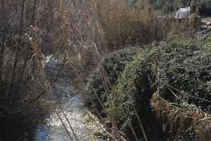 16716113_1208491535872788_4784671516106382049_o