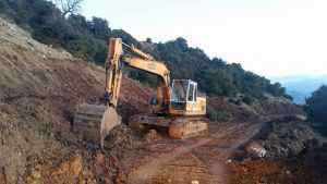 16730561_1258680307502973_8808587018780265288_n