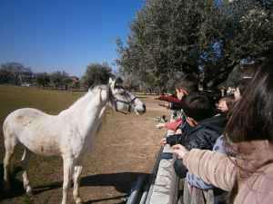 16864319_720954598072162_8707215701203386678_n