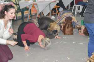 16939320_1100803740031527_2799627528274584009_n