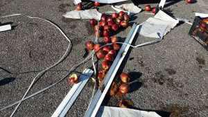 17619659_10212115155382224_2119771712_n