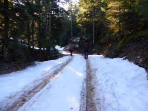 eosagriniou-kaliakouda-002