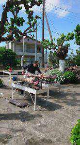 17990988_648934171982501_3806194762013498249_n