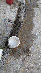 18035083_291833624595142_2091017488_n