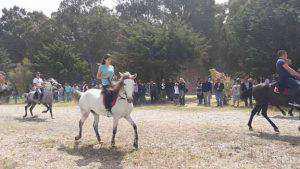 18198490_1917346398510323_5416728774563139989_n