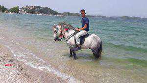 18222414_1917350955176534_5583307833913020239_n