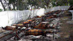 18222498_1917346411843655_2113717713723994236_n