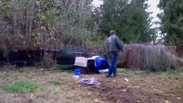 Μεσολόγγι: Παράβαση του νόμου 42χρονης περί προστασίας ζώων συντροφιάς