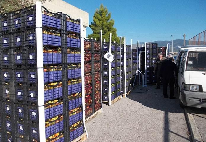 Αγρίνιο: Διανομή φρούτων αύριο,Παρασκευή