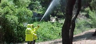 Περιφέρεια Δ.Ε: Προσλήψεις για το πρόγραμμα δακοκτονίας 2017