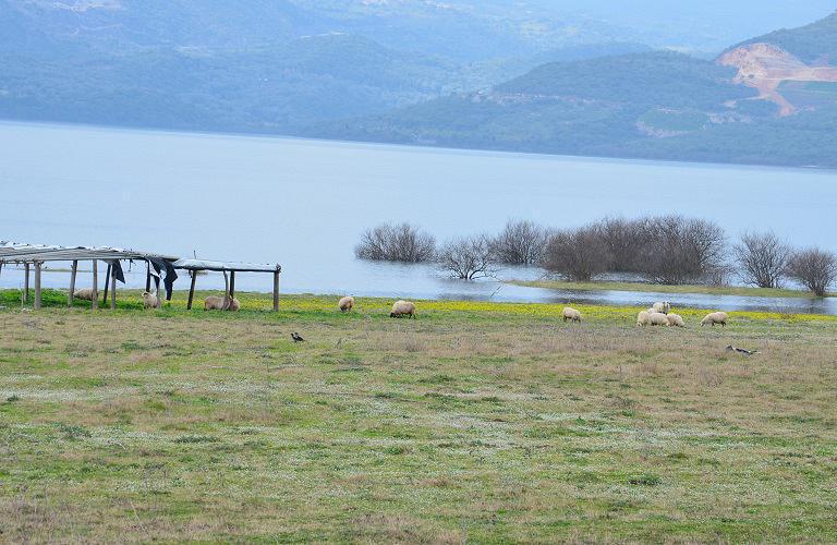 Απονιτροποίηση: Πρόγραμμα με σφραγίδα Ένωσης Αγρινίου για την Αιτωλοακαρνανία.