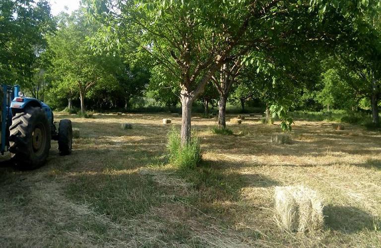 Εθνικό Απόθεμα 2017