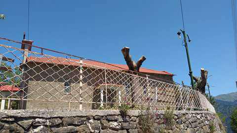 “Καρατόμησαν” τα πλατάνια στο Λιβαδάκι Ναυπακτίας-Αντιδράσεις κατοίκων!