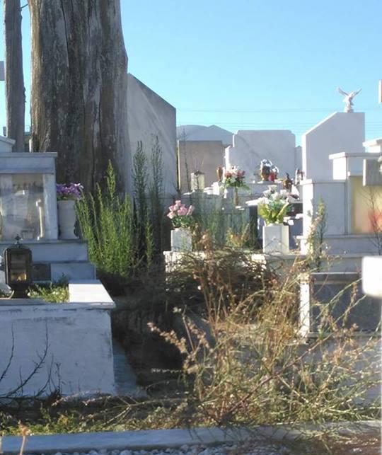 Αγρίνιο | Καταγγελίες για την τραγική κατάσταση στα κοιμητήρια