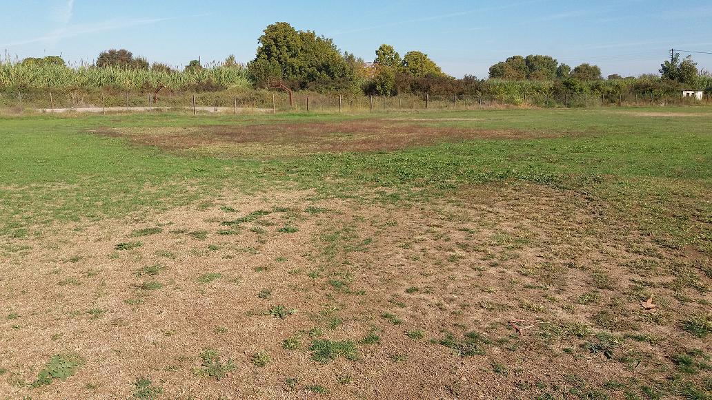 Σε πλήρη εγκατάλειψη ο χλοοτάπητας του γηπέδου Kαλυβίων