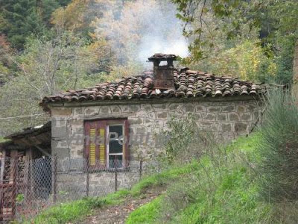 Άναψαν τα τζάκια και οι ξυλόσομπες στην Ευρυτανία