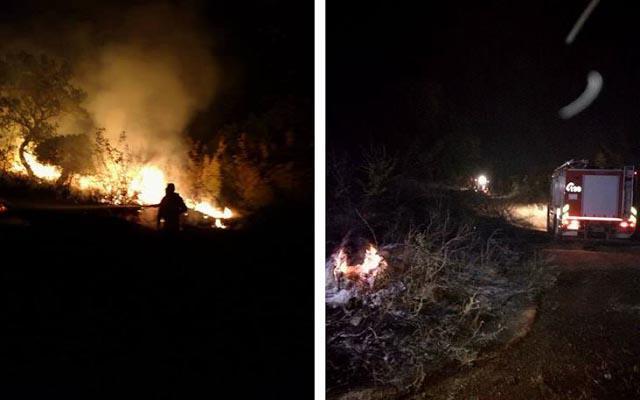 Φωτιά στο βελανιδοδάσος στην Παλαιομάνινα (φωτο)