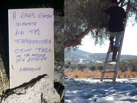 Αιτ/νία-Μεγάλη πείνα- Αμέτρητες κλοπές σε λιοστάσια-Κλέβουν ελιές-σακιά και εξοπλισμό!