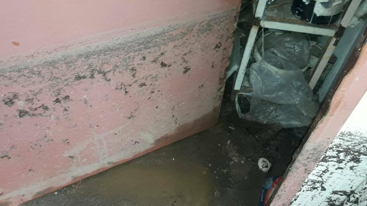 Ξεριζώθηκε τεράστιο δέντρο  στο σχολείο στα Αη Βασιλιώτικα-Αναλυτικά η κατάσταση στην Αιτ/νία