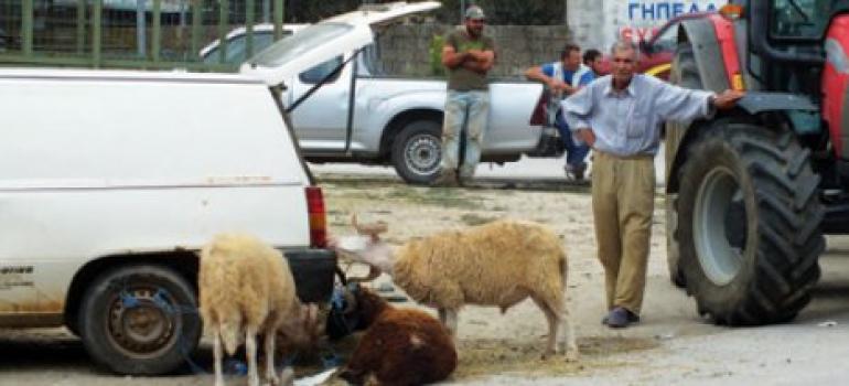 Αιτ/νία- Προσοχή  άτομα προσποιούνται τους υπαλλήλους της Διεύθυνσης Κτηνιατρικής
