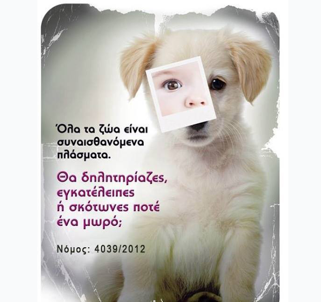 Κινητοποίηση για τις φόλες σε αδέσποτα ζώα στη Βόνιτσα