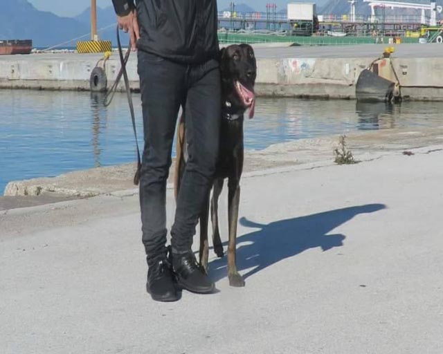 Προφυλακιστέος ο 27χρονος  Πακιστανός που μετέφερε ηρωίνη στο Αγρίνιο-τον εντόπισε  ο «Ρίκι»