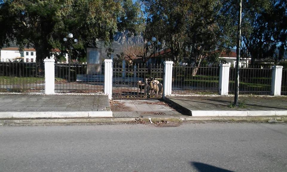 Βεβήλωση του Μνημείου της Εθνικής Αντίστασης στο Αιτωλικό και μετατροπή του σε…μαντρί!
