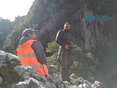 Επιχείρηση για την ανεύρεση πομπού σε όρνιο που διαχειμάζει στα Ακαρνανικά όρη