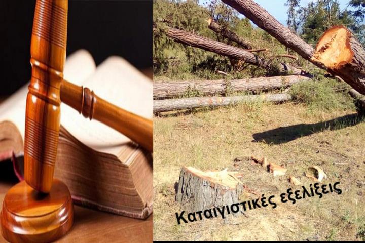 Μήνυση από το Δασαρχείο Μεσολογγίου για τα δέντρα στη Ματαράγκα!