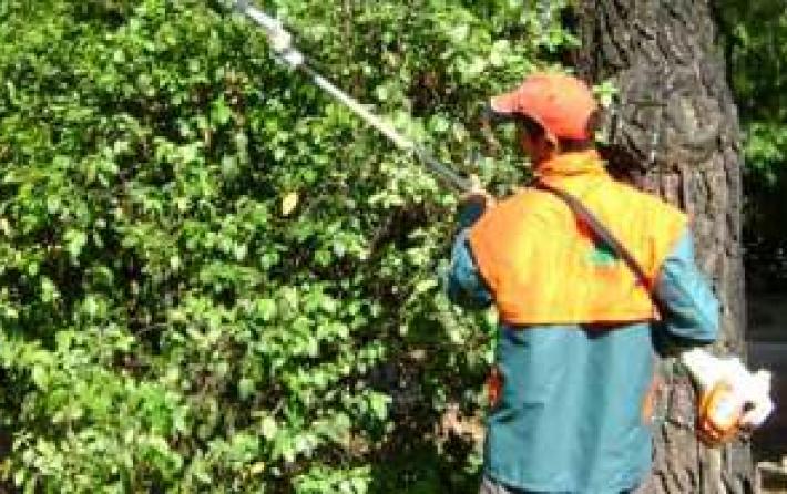 Προσλήψεις στο δήμο Αγρινίου Εργατών Κήπου και Πρασίνου με απόφαση Δημάρχου