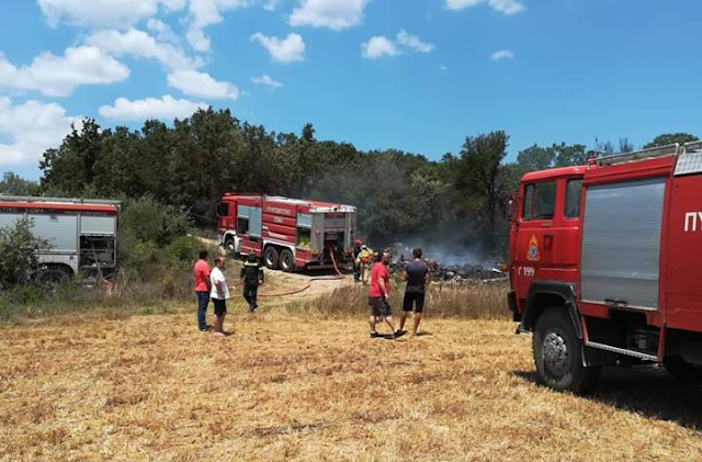Φωτιά στο βελανιδοδάσος στην Παλαιομάνινα (φωτο)