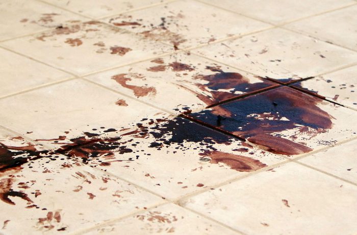 “Bουτηγμένο” στο αίμα το 2ο Δημοτικό Σχολείο Θεστιέων!