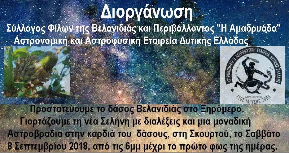 Αστροβραδιά στην καρδιά του δάσους Βελανιδιάς στη Σκουρτού