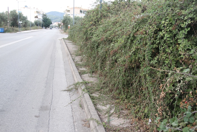 Αγρίνιο-Οδός Πανεπιστημίου ή οδός Βατοπεδίου;