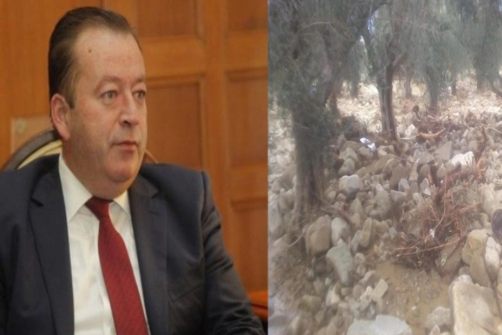 Σημαντικές ανακοινώσεις Β.Κόκκαλη για δάκο και τους μπαζωμένους ελαιώνες