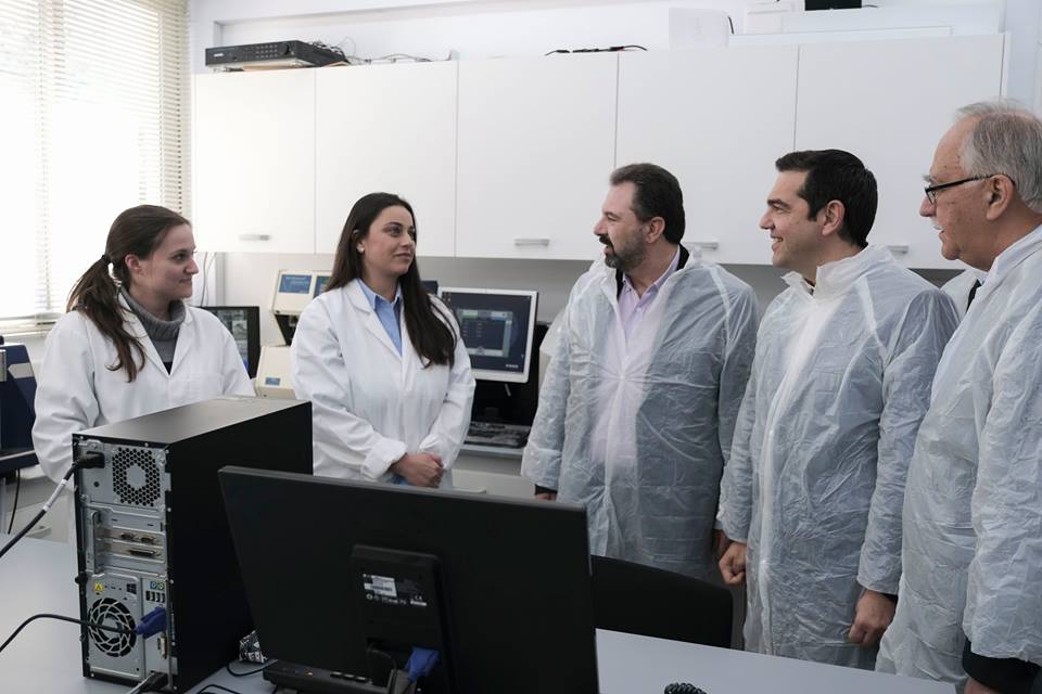 Έκτακτη οικονομική ενίσχυση 42 εκατ. ευρώ σε 45.000 κτηνοτρόφους (βίντεο)